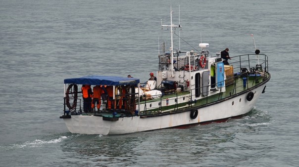 «Военные плясуны уже дают концерт сочинским рыбам: Ла-ла-ла»! Реакция в Украине на крушение российского самолета «Военные плясуны уже дают концерт сочинским рыбам: Ла-ла-ла»! Реакция в Украине на крушение российского самолета