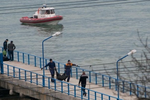 Можно ли было избежать трагедии в Сочи? Можно ли было избежать трагедии в Сочи?