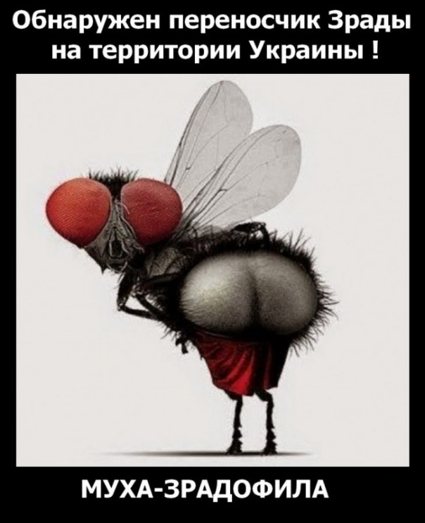 "Мыздобулы" в картинках. Смешных и не очень... 30-12-2016