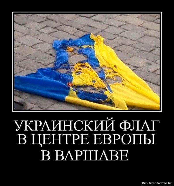 "Мыздобулы" в картинках. Смешных и не очень... 30-12-2016