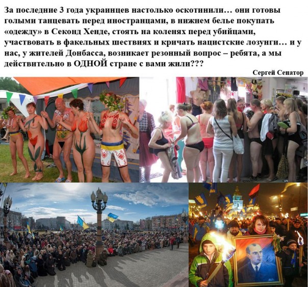 "Мыздобулы" в картинках. Смешных и не очень... 30-12-2016