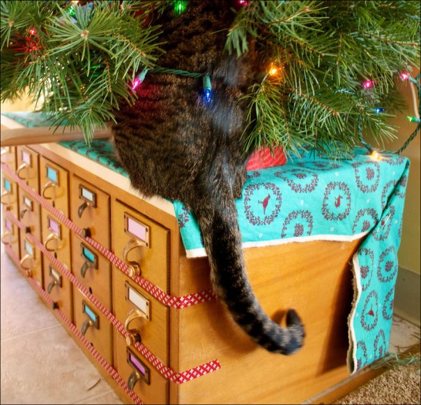 Непростые отношения кошки и новогодней елки Непростые отношения кошки и новогодней елки