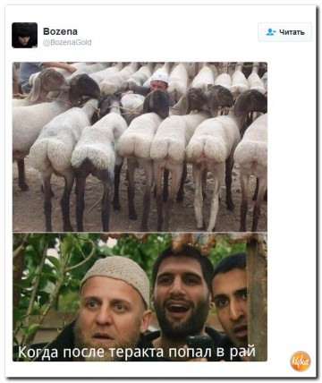 "Мыздобулы" в картинках. Смешных и не очень... 30-12-2016