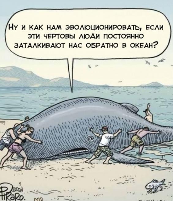 Купили в подарок детскую медицинскую энциклопедию...