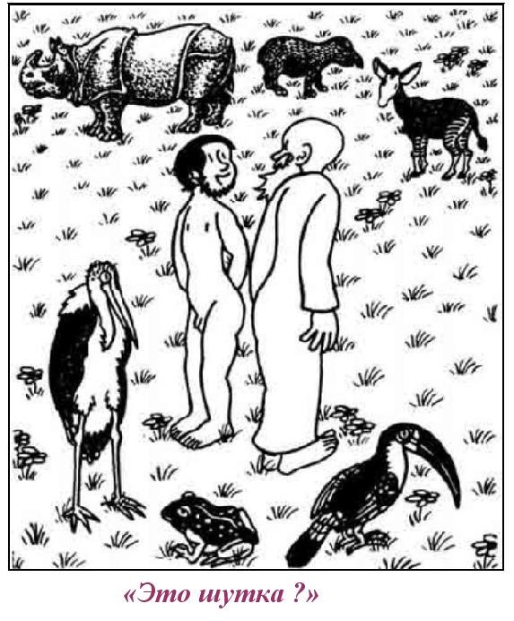 Купили в подарок детскую медицинскую энциклопедию...