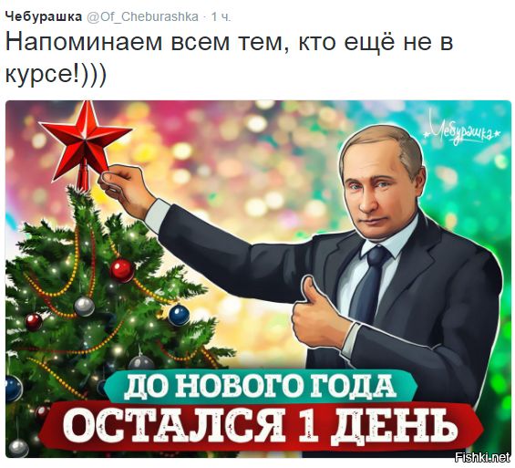 "Мыздобулы" в картинках. Смешных и не очень... 06-01-2017