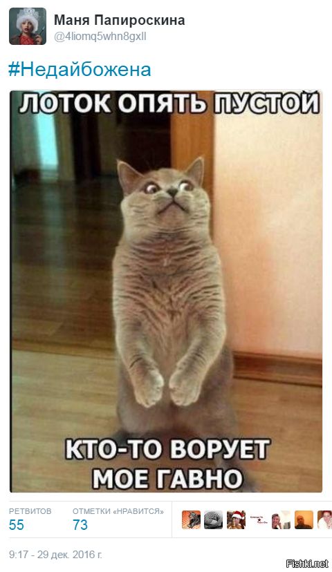 "Мыздобулы" в картинках. Смешных и не очень... 06-01-2017