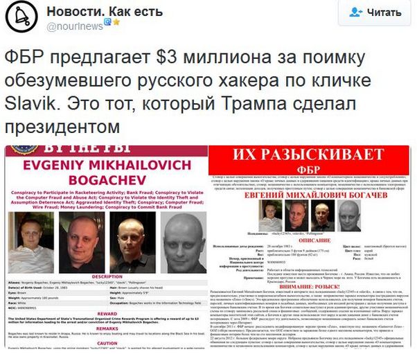 "Мыздобулы" в картинках. Смешных и не очень... 06-01-2017