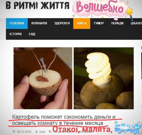 "Мыздобулы" в картинках. Смешных и не очень... 06-01-2017