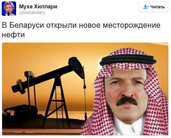 "Мыздобулы" в картинках. Смешных и не очень... 06-01-2017