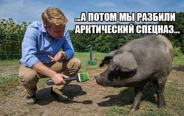 "Мыздобулы" в картинках. Смешных и не очень... 06-01-2017