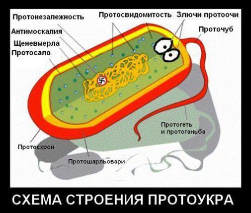 "Мыздобулы" в картинках. Смешных и не очень... 06-01-2017