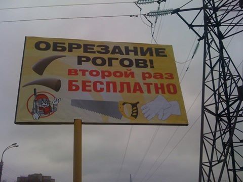 "Мыздобулы" в картинках. Смешных и не очень... 06-01-2017