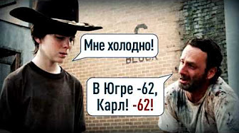 "Мыздобулы" в картинках. Смешных и не очень... 06-01-2017