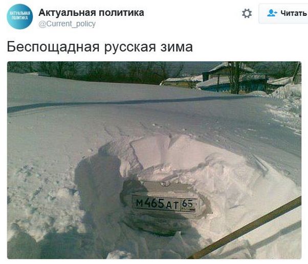 "Мыздобулы" в картинках. Смешных и не очень... 06-01-2017