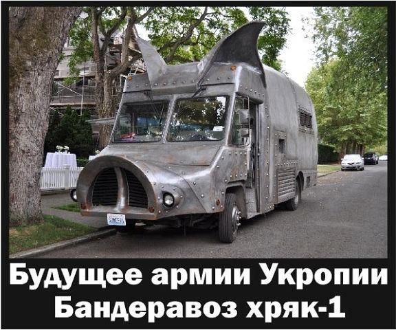 "Мыздобулы" в картинках. Смешных и не очень... 06-01-2017