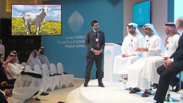 В Cаудовской Аравии женщин признали животными