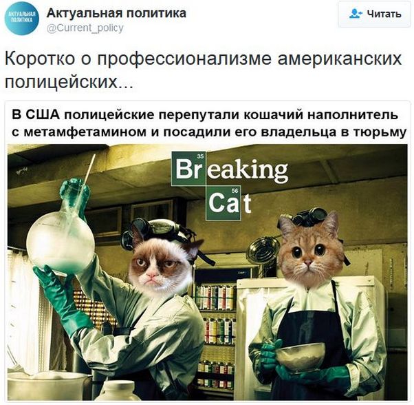 "Мыздобулы" в картинках. Смешных и не очень... 12-01-2017