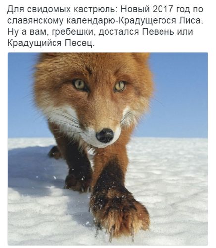 "Мыздобулы" в картинках. Смешных и не очень... 12-01-2017