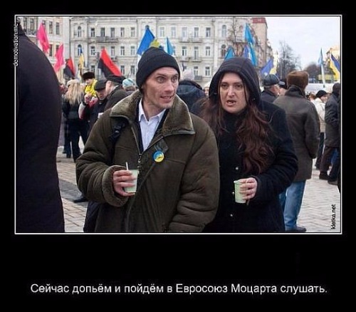 "Мыздобулы" в картинках. Смешных и не очень... 12-01-2017