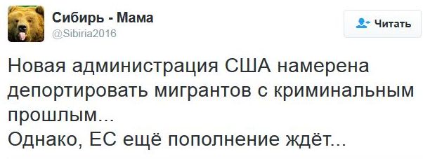 "Мыздобулы" в картинках. Смешных и не очень... 20-01-2017 "Мыздобулы" в картинках. Смешных и не очень... 20-01-2017