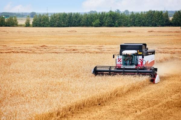"Нам нужно экономическое развитие, а наши либералы предлагают сценарий Украины" "Нам нужно экономическое развитие, а наши либералы предлагают сценарий Украины"
