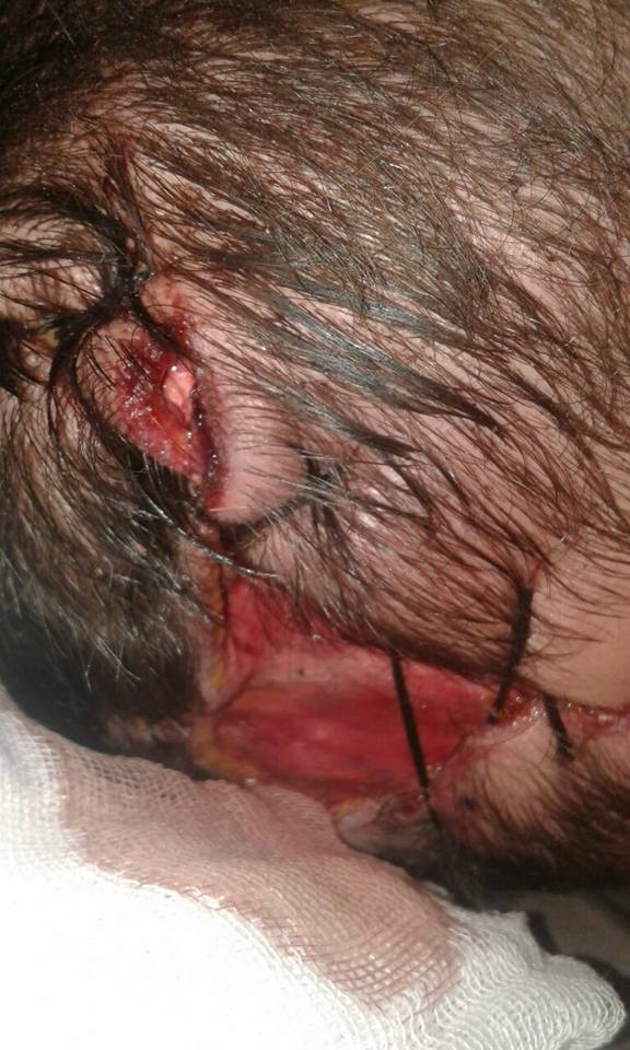 Скандал в парке львов в Крыму: Животное убило человека, происшествие пытались скрыть 18+ Скандал в парке львов в Крыму: Животное убило человека, происшествие пытались скрыть 18+