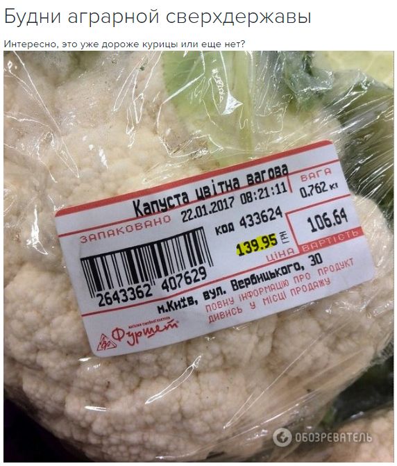 "Мыздобулы" в картинках. Смешных и не очень... 26-01-2017 "Мыздобулы" в картинках. Смешных и не очень... 26-01-2017