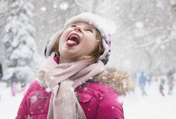 "Мыздобулы" в картинках. Смешных и не очень... 30-01-2017