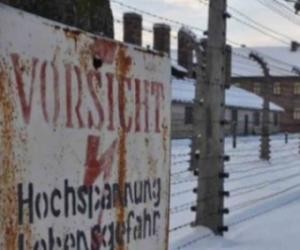 Поляки открыли списки надзирателей Освенцима: евреев в газовые печи отправляли украинцы и прибалты