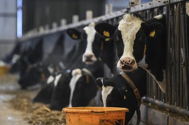 ГОСТ для экопродукции — новый стимул для отечественного производителя