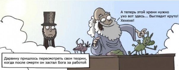 Купили в подарок детскую медицинскую энциклопедию...