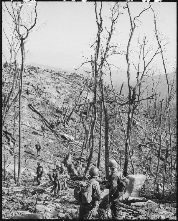 Немного слов о тактике «выжженной земли»