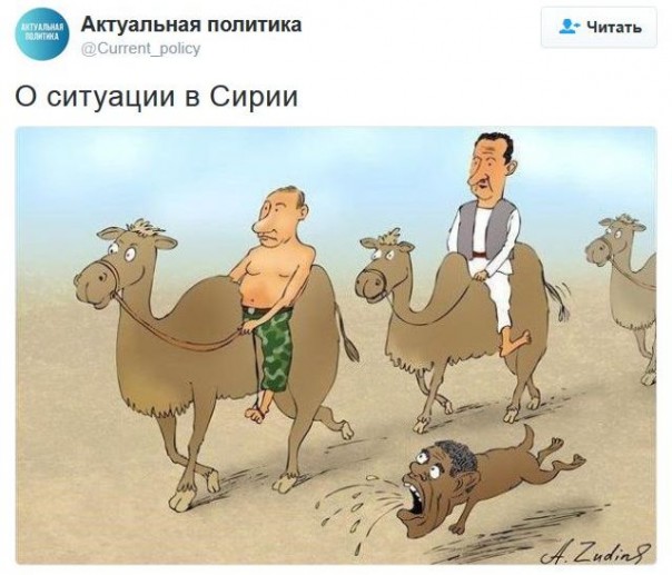 "Мыздобулы" в картинках. Смешных и не очень... 06-01-2017