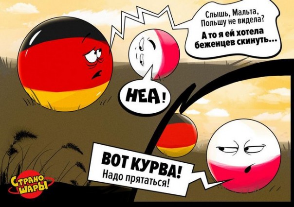 "Мыздобулы" в картинках. Смешных и не очень... 06-01-2017