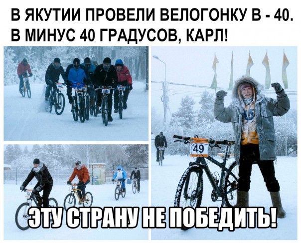 "Мыздобулы" в картинках. Смешных и не очень... 06-01-2017