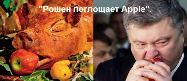 "Мыздобулы" в картинках. Смешных и не очень... 06-01-2017