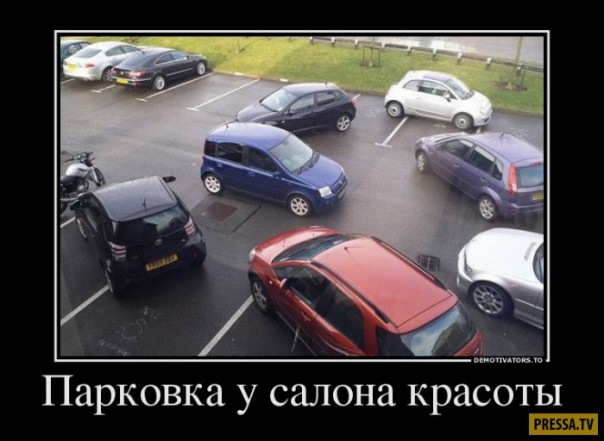 "Мыздобулы" в картинках. Смешных и не очень... 06-01-2017