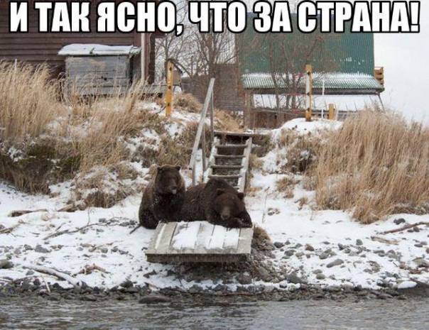 "Мыздобулы" в картинках. Смешных и не очень... 07-01-2017