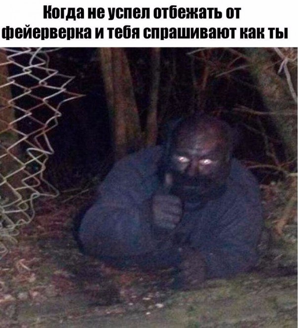 "Мыздобулы" в картинках. Смешных и не очень... 07-01-2017