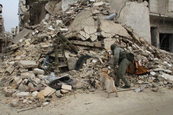 Сирия. Перерождение