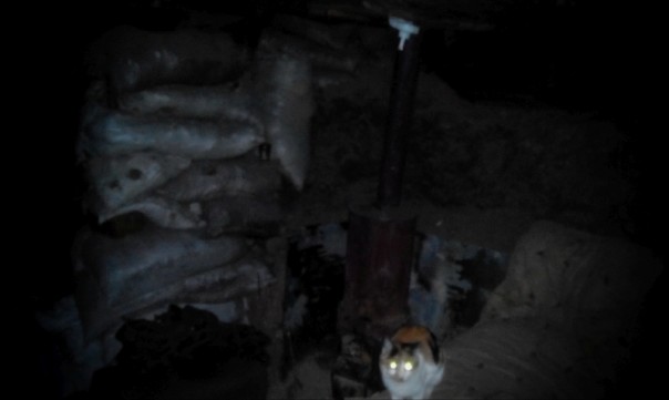 Им отступать некуда - позади Москва. Фоторепортаж с передовой ДНР Им отступать некуда - позади Москва. Фоторепортаж с передовой ДНР