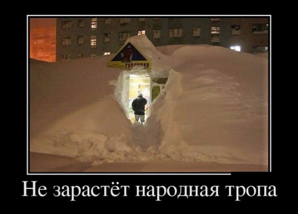 "Мыздобулы" в картинках. Смешных и не очень... 12-01-2017