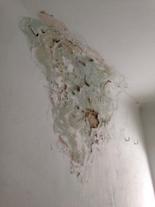 Будущих медиков приучают к нищете за 10 тысяч в год: сеть шокировали фотографии Медицинского колледжа в Харькове