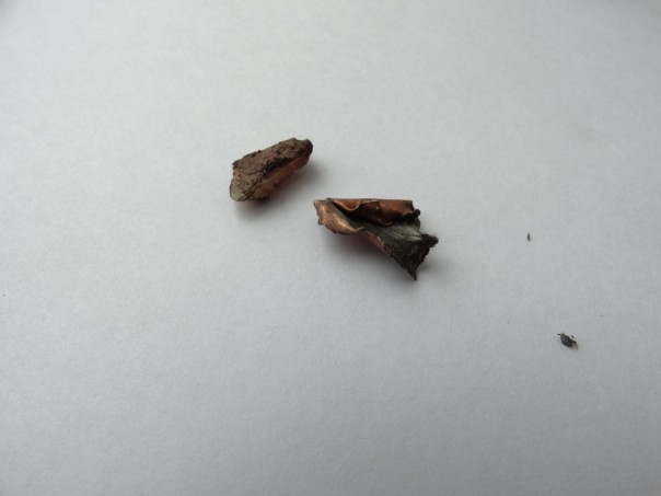 Новый российский шлем спас ополченца ДНР Новый российский шлем спас ополченца ДНР