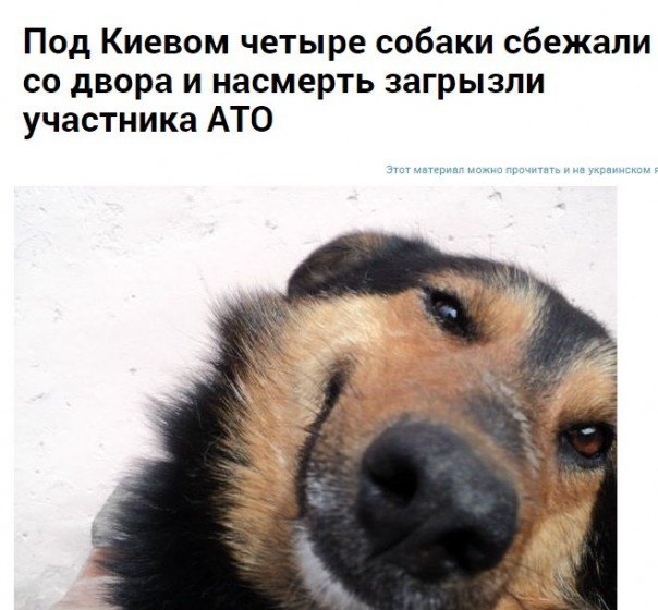 Видос от неполживых свидомых эуропэйцев про хохломову Видос от неполживых свидомых эуропэйцев про хохломову