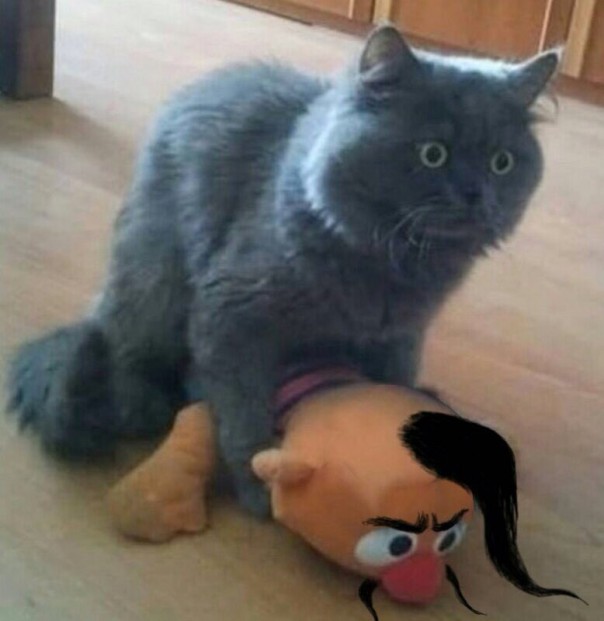 Видос от неполживых свидомых эуропэйцев про хохломову Видос от неполживых свидомых эуропэйцев про хохломову