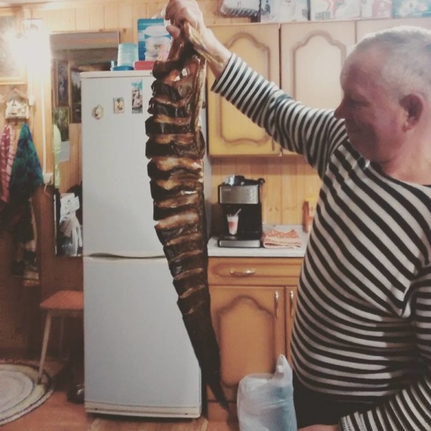 Эх, брошу всё и уеду в деревню: после просмотра этих фото вы подумаете то же самое! Эх, брошу всё и уеду в деревню: после просмотра этих фото вы подумаете то же самое!