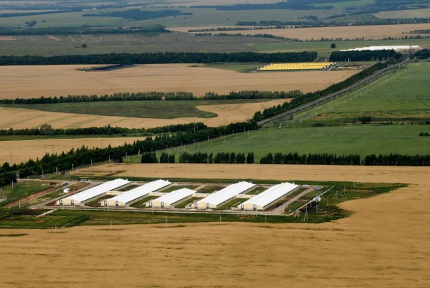 "Ватный" газопровод или Откуда у русских руки растут. Время-вперёд! 227 "Ватный" газопровод или Откуда у русских руки растут. Время-вперёд! 227