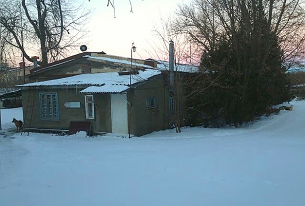 «Горло себе перережу» «Горло себе перережу»